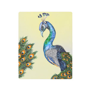 Impresión En Metal Elegante acuarela Peacock Amarillo