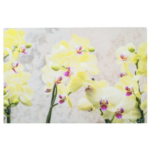 Impresión En Metal Elegante Crema Romántica y Orquídeas Lilac