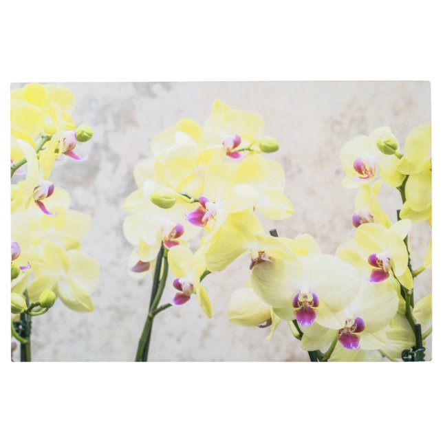 Impresión En Metal Elegante Crema Romántica y Orquídeas Lilac (Anverso)