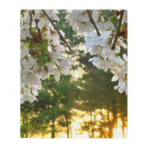 Impresión En Metal Elegante foto floral blanca de los pinos de la sal
