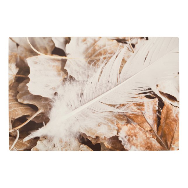 Impresión En Metal Elegante Pluma Blanca Sobre Hojas Doradas (Anverso)