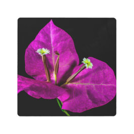 Impresión En Metal Elegante Purple Bougainvillea