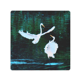 Impresión En Metal Elegantes Egredientes De Baile