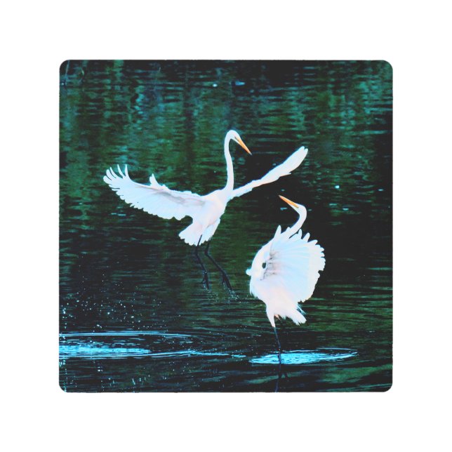 Impresión En Metal Elegantes Egredientes De Baile (Anverso)