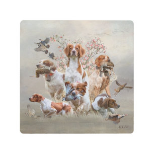 Impresión En Metal Epagneul Breton, Bretaña Spaniel