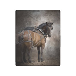 Impresión En Metal Equipo del caballo de proyecto en arnés