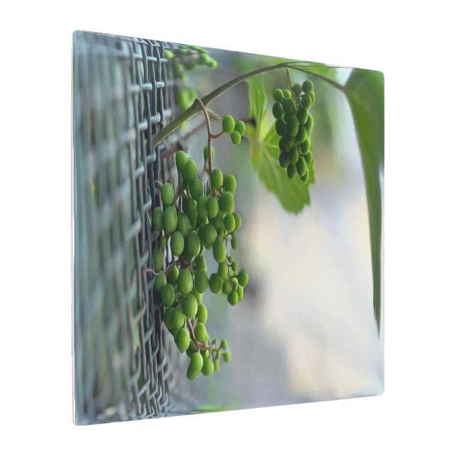 Impresión En Metal Escapar de la valla (Angulado)