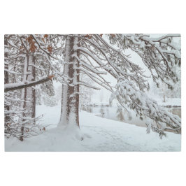 Impresión En Metal Escena de invierno