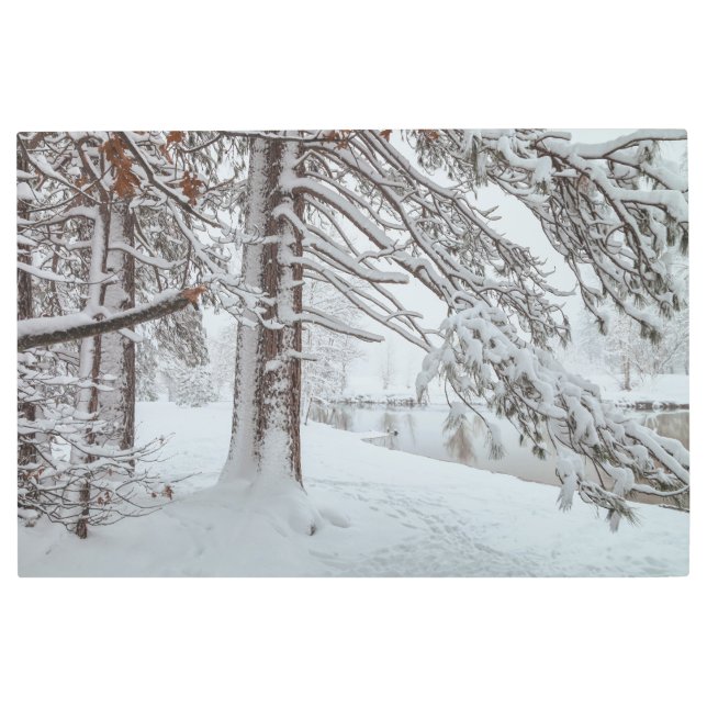 Impresión En Metal Escena de invierno (Anverso)