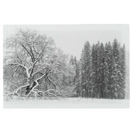 Impresión En Metal Escena de invierno