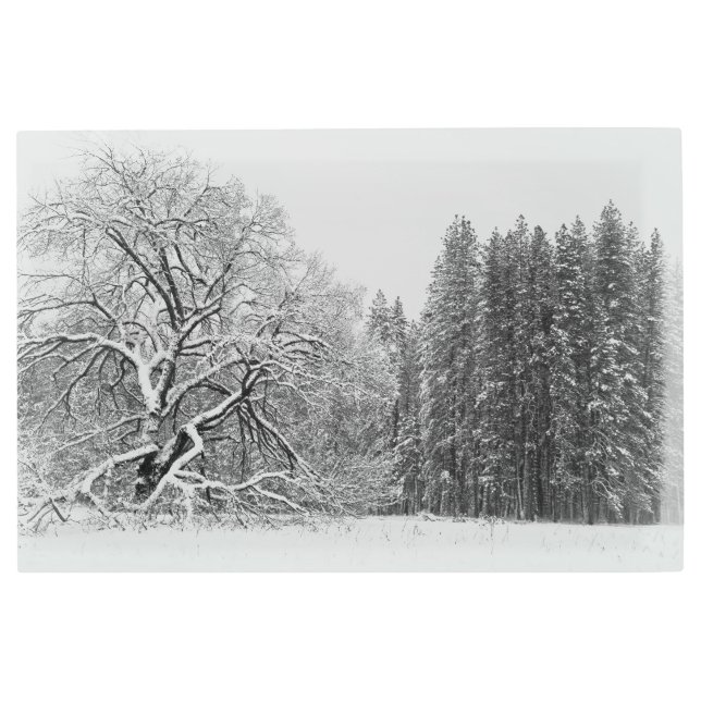 Impresión En Metal Escena de invierno (Anverso)