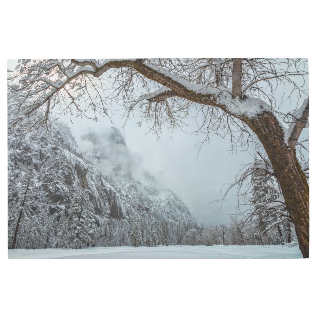 Impresión En Metal Escena de invierno (Anverso)