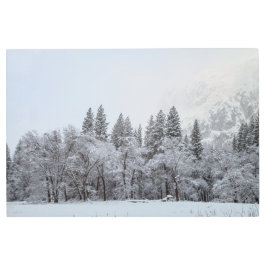 Impresión En Metal Escena de invierno