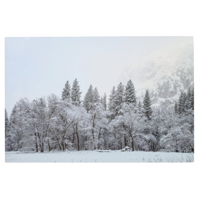 Impresión En Metal Escena de invierno (Anverso)