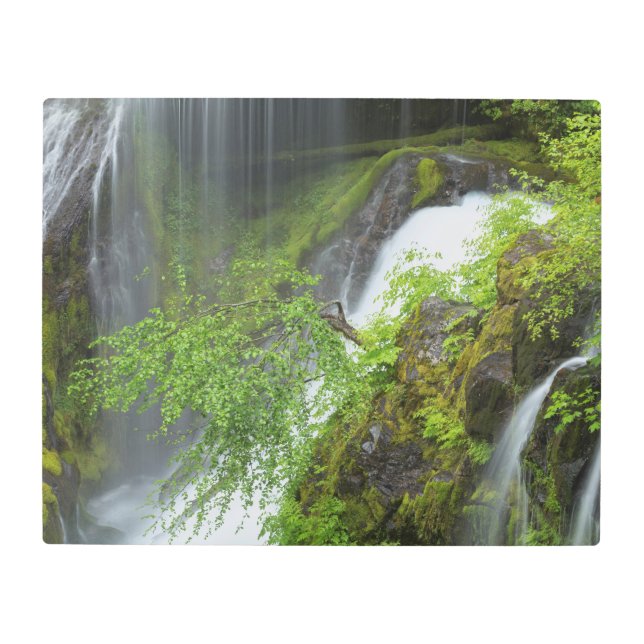 Impresión En Metal Escenario de cascada verde (Anverso)