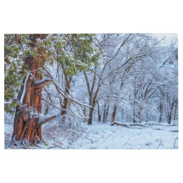 Impresión En Metal Escenario del bosque de invierno