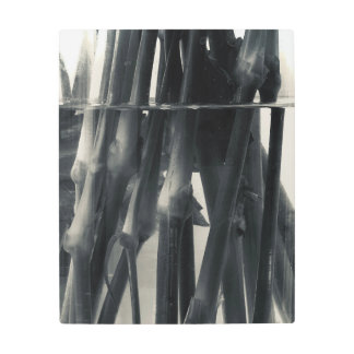 Impresión En Metal Estrellas