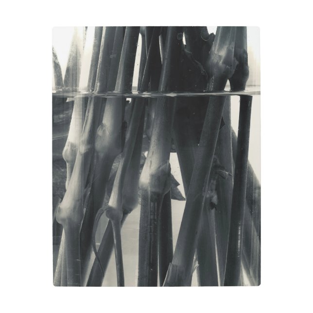 Impresión En Metal Estrellas (Anverso)