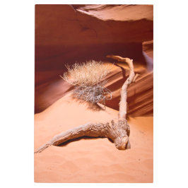 Impresión En Metal Explore Arizona