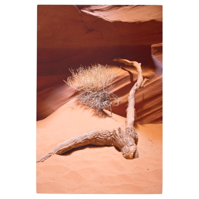 Impresión En Metal Explore Arizona (Anverso)