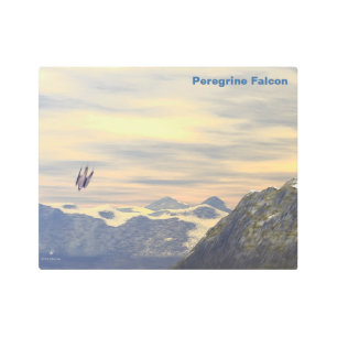 Impresión En Metal Falcon peregrino de velocidad de terminal