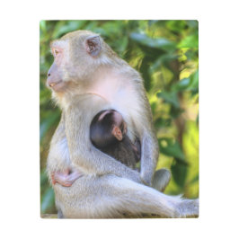 Impresión En Metal Familia Monkey