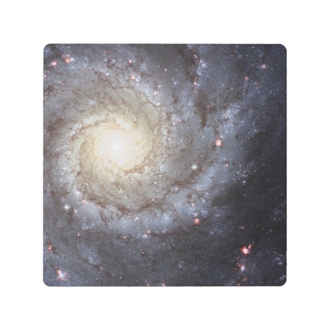 Impresión En Metal Fantasía y espacio (Anverso)