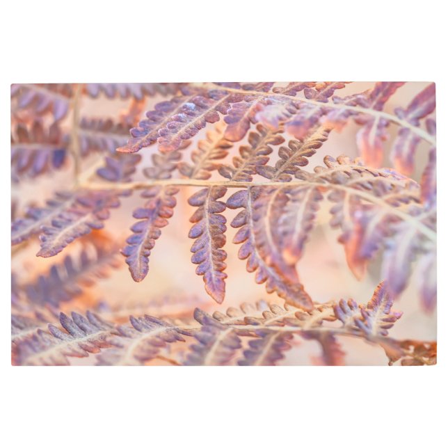 Impresión En Metal Fern en otoño (Anverso)