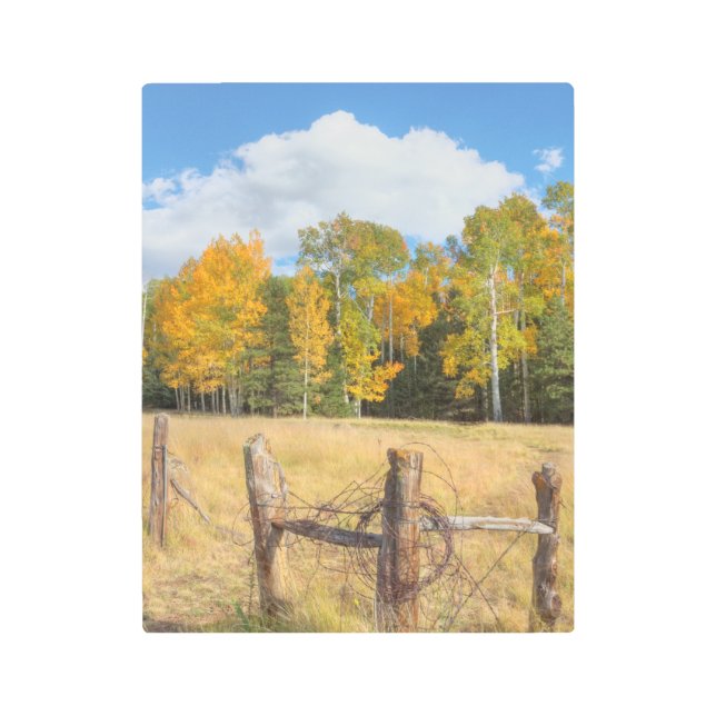 Impresión En Metal Flagstaff meadow (Anverso)