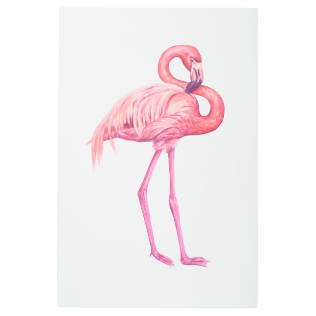 Impresión En Metal Flamingo 2 (Anverso)