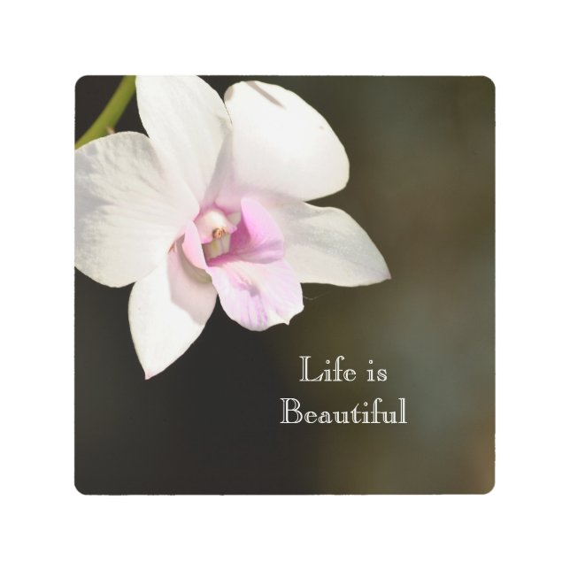 Impresión En Metal Flor de orquídea rosa blanca Kauai, Hawaii (Anverso)