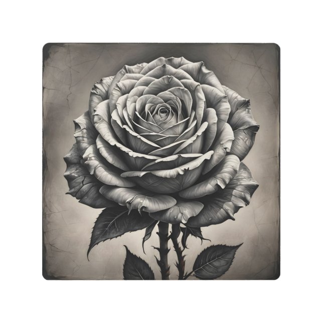 Impresión En Metal Flor de rosa blanca y negra (Anverso)