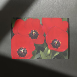 Impresión En Metal Flor de Tulipanes Rojos Brillantes