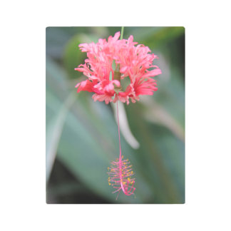 Impresión En Metal Flor Hawaii