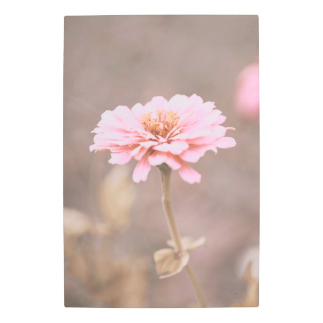 Impresión En Metal Flor silvestre Rubor Pink Montana (Anverso)