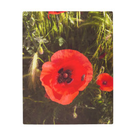 Impresión En Metal Floral Poppy Dreamer – Botanical Fantasy Art