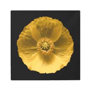 Impresión En Metal Flores   Amarilla