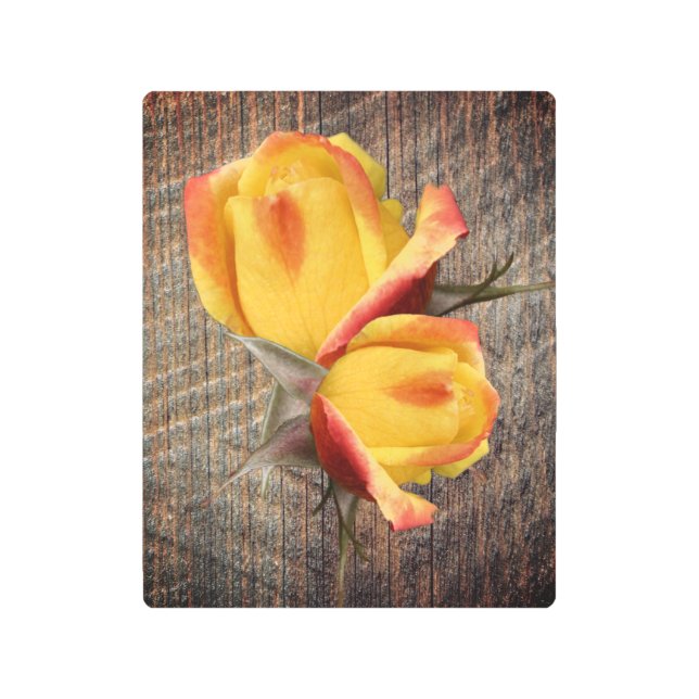 Impresión En Metal Flores Amarillas De Rosebud En Barnboard (Anverso)