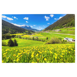 Impresión En Metal Flores Cantón Dandelion de Grisons, Suiza