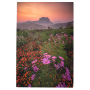 Impresión En Metal Flores Chiang Dao, Chiang Mai, Tailandia