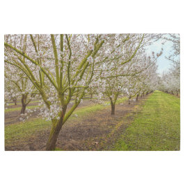 Impresión En Metal Flores de almendra