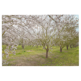 Impresión En Metal Flores de almendra