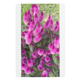 Impresión En Metal Flores de chocolate 2025