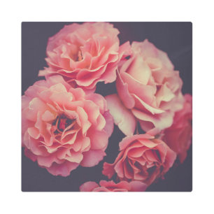 Impresión En Metal Flores de claveles rosados