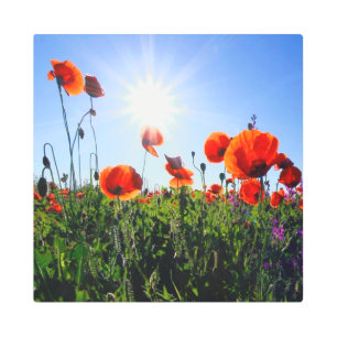 Impresión En Metal Flores de lapachos rojos salvajes