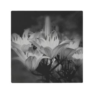 Impresión En Metal Flores De Lirio En Blanco Y Negro