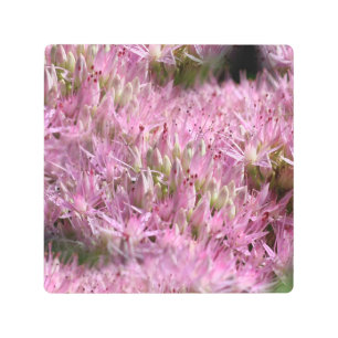 Impresión En Metal Flores de otoño de seda rosada