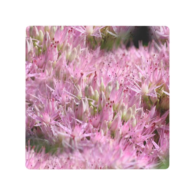 Impresión En Metal Flores de otoño de seda rosada (Anverso)