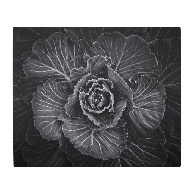 Impresión En Metal Flores De Patio Trasero En Blanco Y Negro No 108 (Anverso)