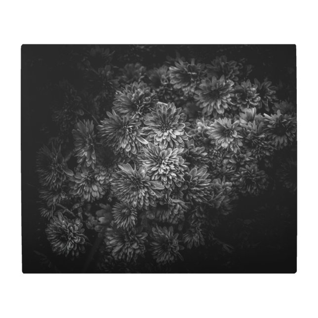 Impresión En Metal Flores De Patio Trasero En Blanco Y Negro No 29 (Anverso)